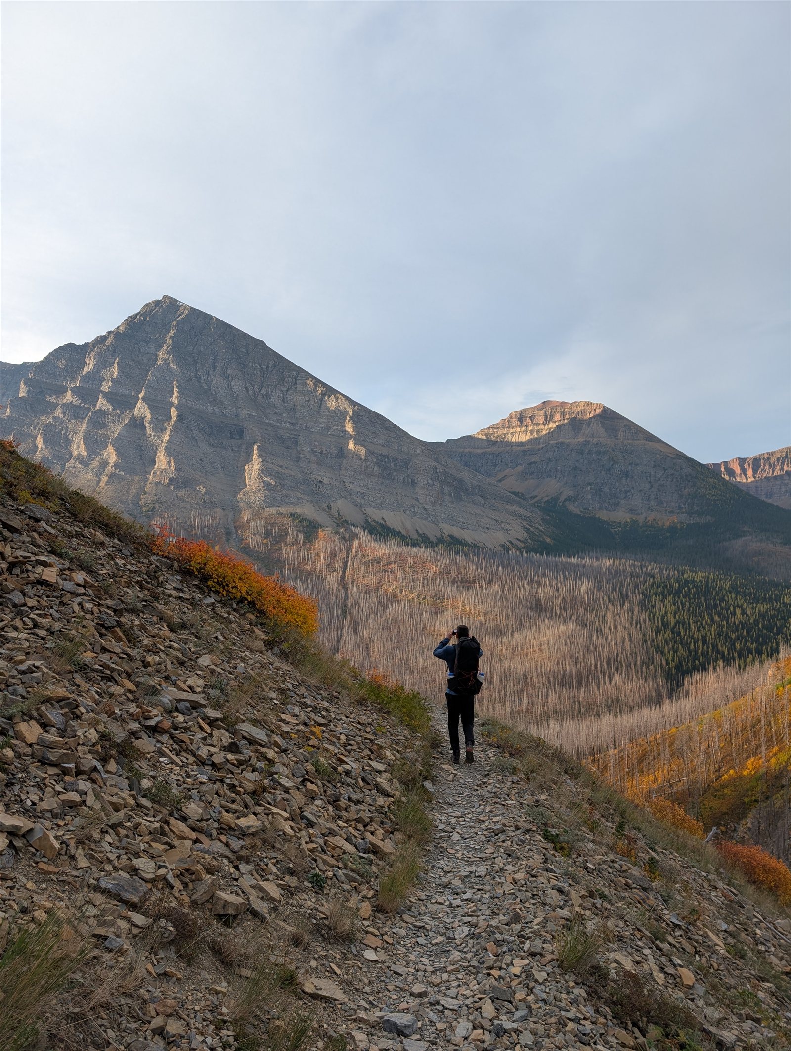 A backpacker descending a narrow mountainside trail with autumn trees below