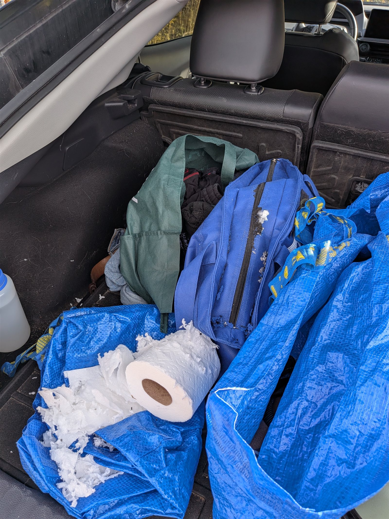 Shredded paper scattered over a blue tarp and gear in the back of the car